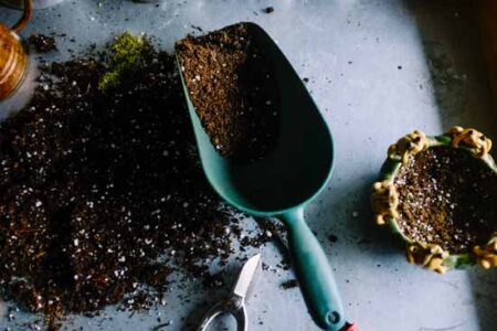 4 Mistakes To Avoid When Planning Your Garden Image